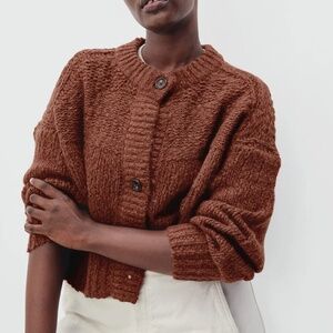 Everlane Lofty Knit Brown Cardigan